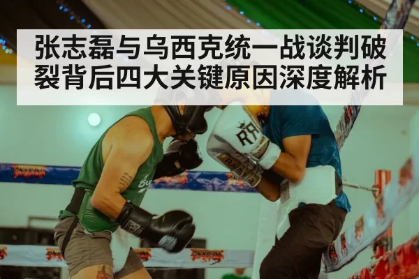 张志磊与乌西克统一战谈判破裂背后四大关键原因深度解析