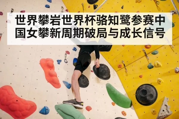 indoor climbing wall training